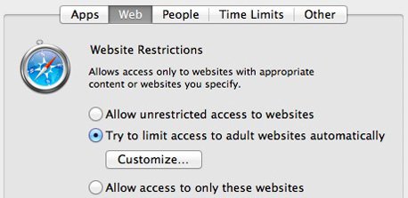 automatic-website-limitations