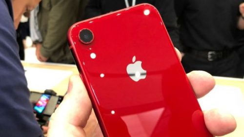 iPhone XR красный
