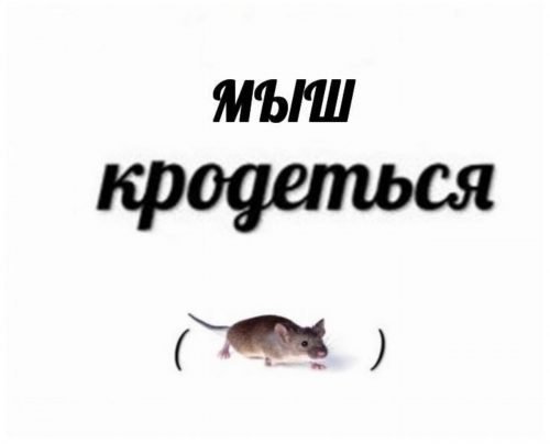 Мем «мыш кродеться»